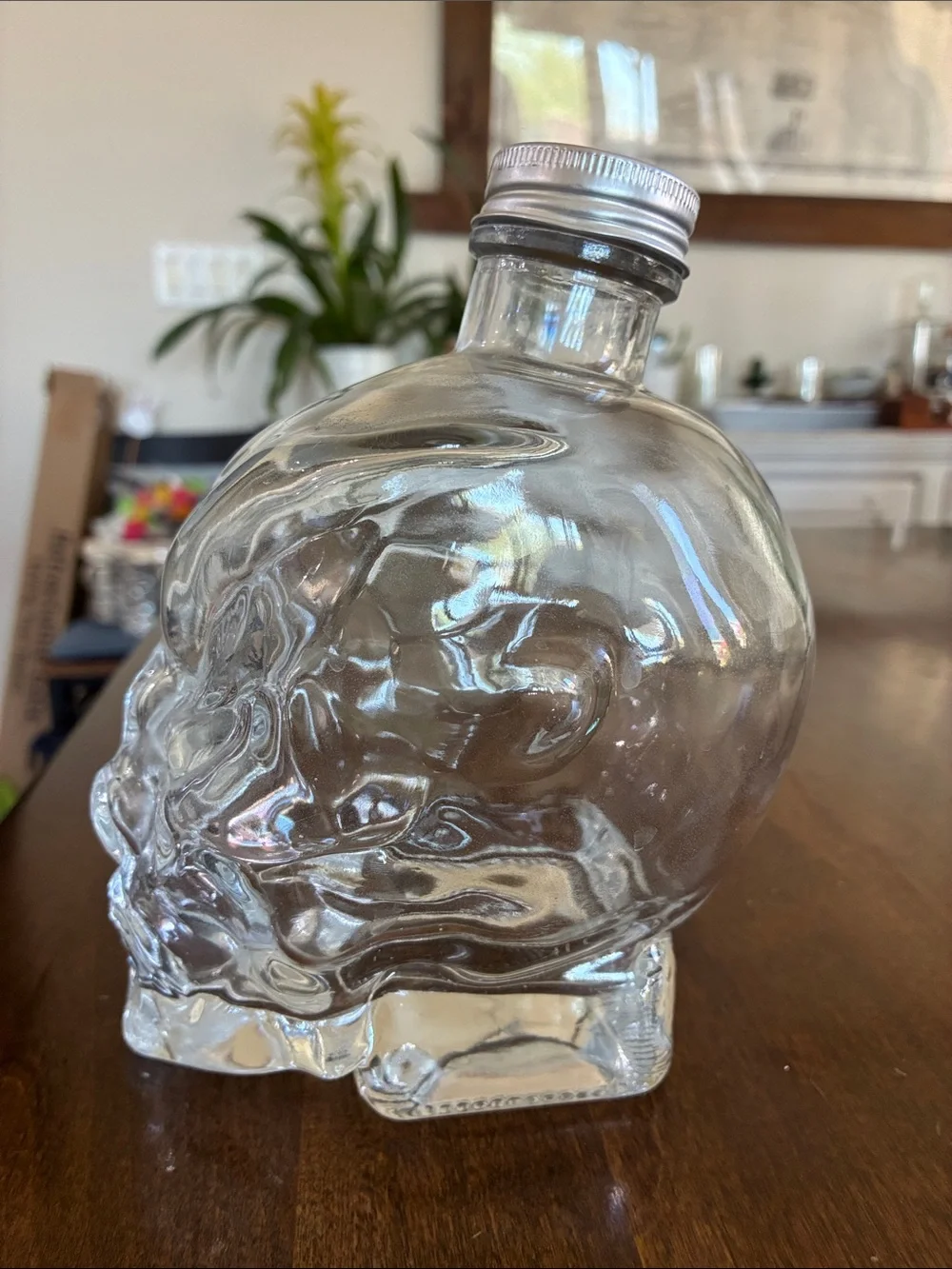 Clear Glass Skull Bottle with Silver Cap